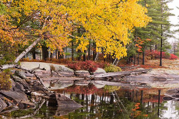 Beholden to Autumn
