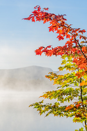 First of Autumn