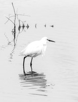 Time of Reflection