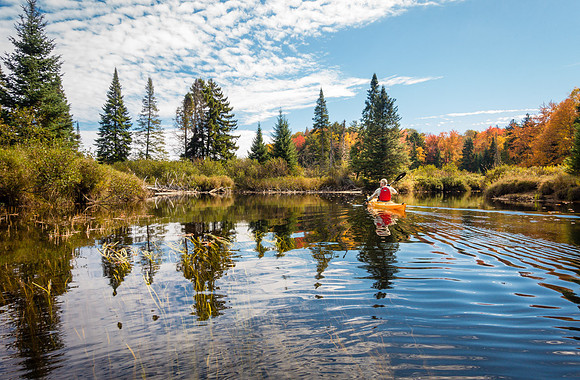 Indian Summer at St Regis