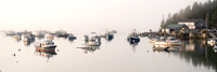 Harbor Still Life
