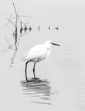 Time of Reflection